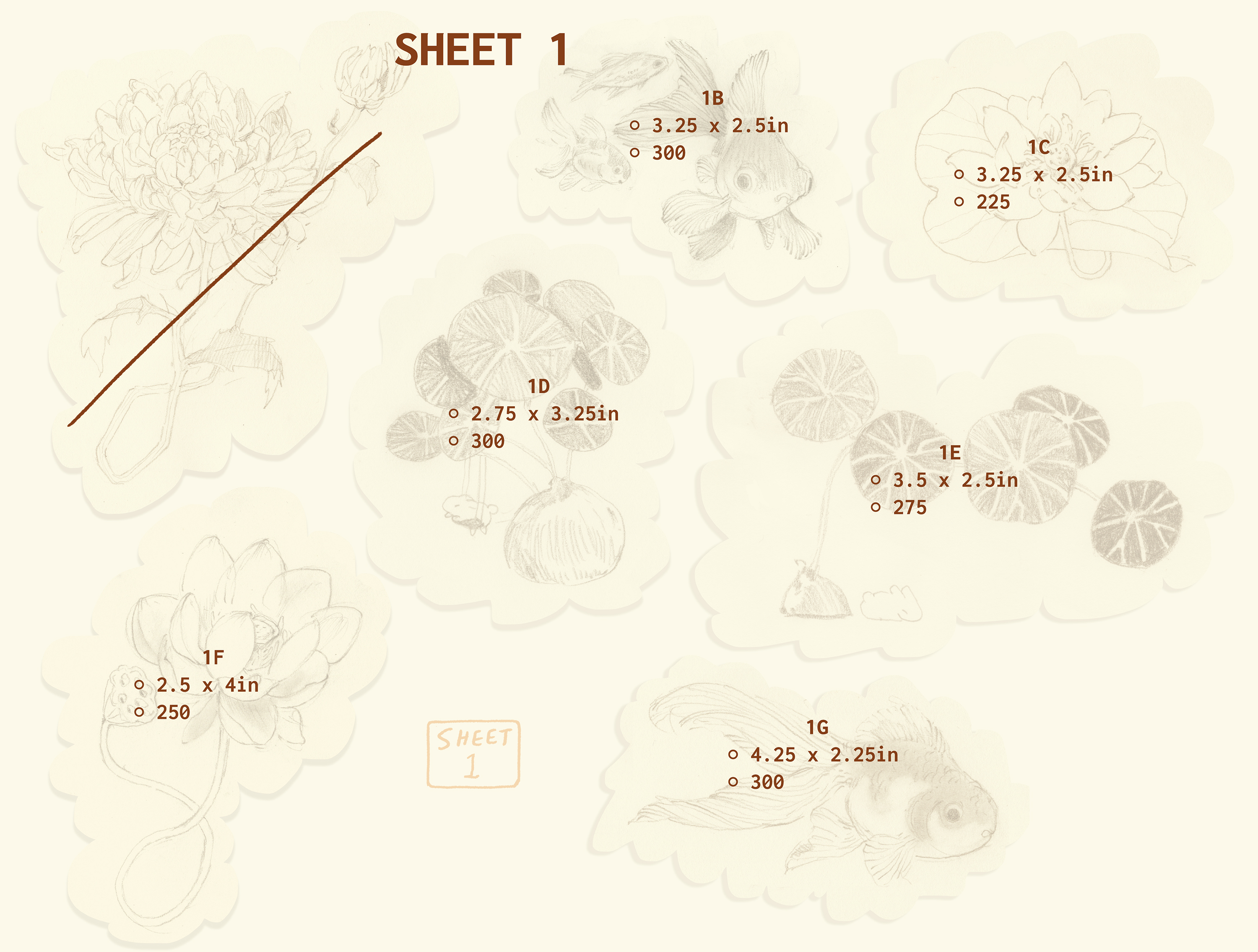 flash sheet 1 prices