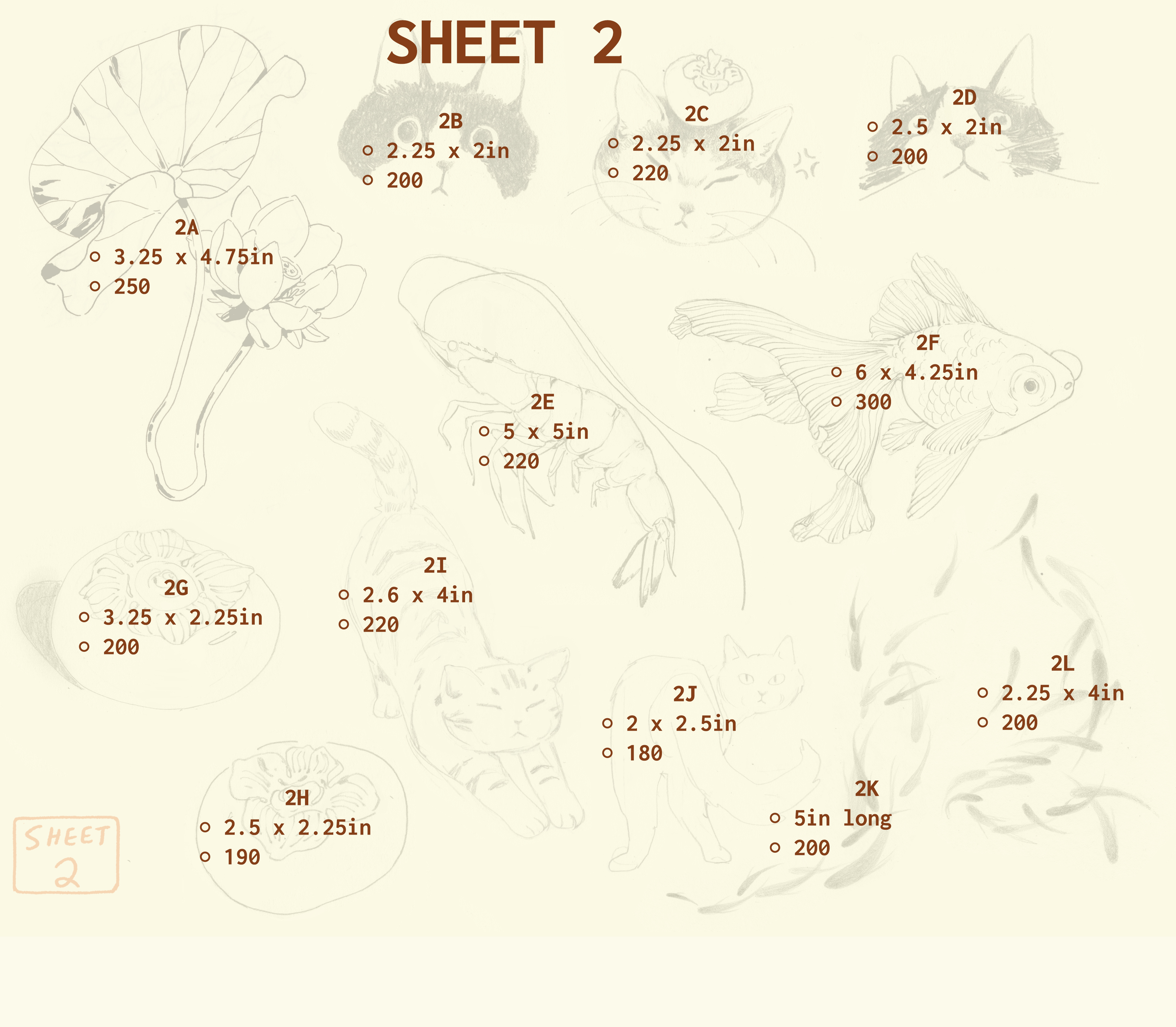 flash sheet 2 prices