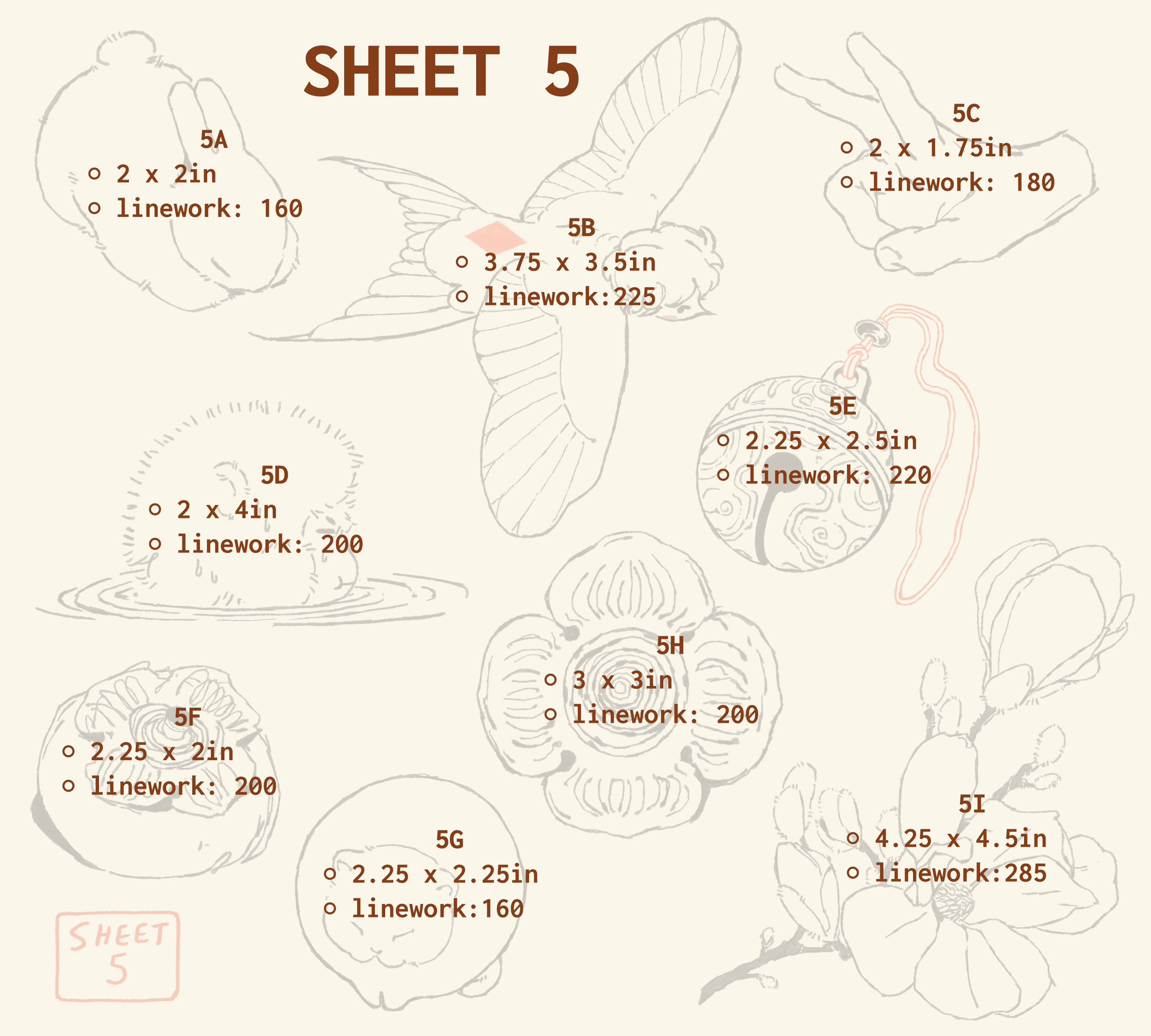 flash sheet 5 prices